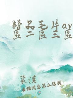 精品毛片av一区二区三区