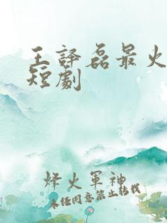 王译磊最火十部短剧