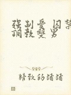 强制爱 囚禁 调教双男