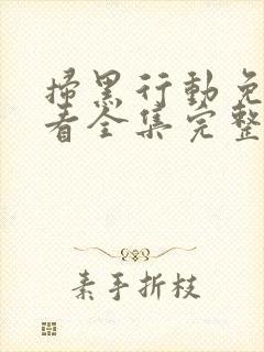 扫黑行动免费观看全集完整版