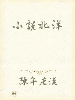 小说北洋