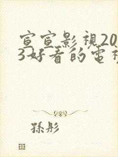 宣宣影视2023好看的电视剧