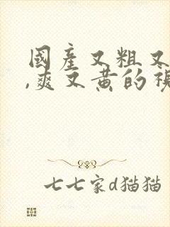 国产又粗又猛又,爽又黄的视频成人