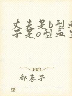 丈夫是b型血妻子是o型血生的孩子是什么血型