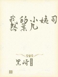 我的小姨司空嫣然叶凡