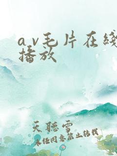 a v毛片在线播放
