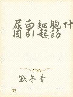 尿白细胞什么原因引起的