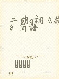 二胡g调《搀扶》简谱