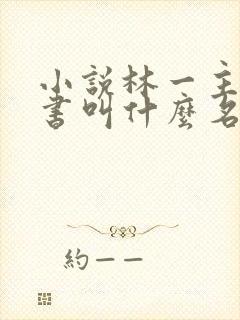 小说林一主角的书叫什么名字