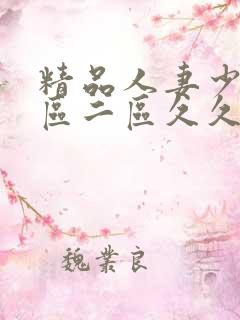 精品人妻少妇一区二区久久久精品视频