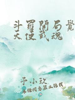 斗罗开局觉醒堕天使武魂