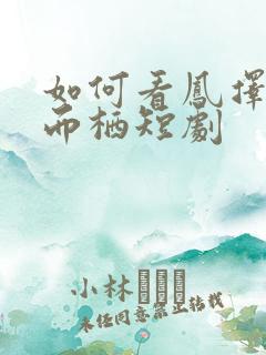 如何看凤择良木而栖短剧