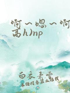 啊～嗯～啊～(高h)np