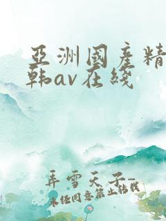亚洲国产精品日韩av在线