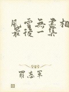 风雪无尽相思情最后一集