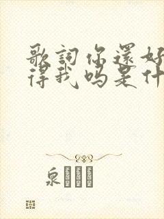 歌词你还好吗记得我吗是什么歌