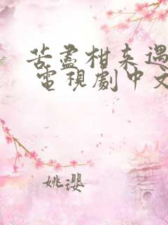 苦尽柑来遇见你 电视剧中文版免费观看