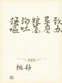 换狗粮导致狗狗呕吐怎么办