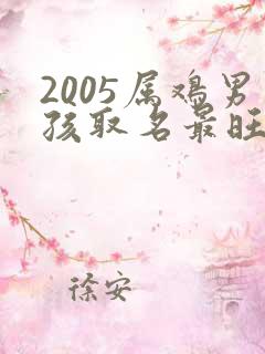 2005属鸡男孩取名最旺的字