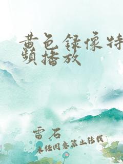 黄色录像特级视频播放