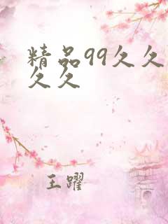 精品99久久久久久