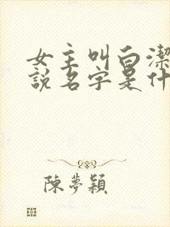 女主叫白洁的小说名字是什么