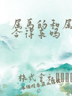 属马的和属龙的合得来吗