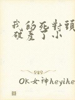 我的死对头终于破产了小