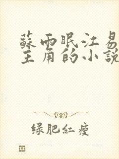 苏雨眠江易淮为主角的小说