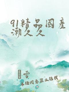 91精品国产高潮久久