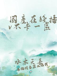 国产在线播放av不卡一区