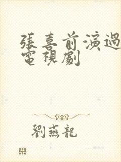 张喜前演过什么电视剧