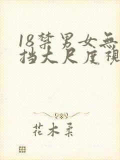 18禁男女无遮挡大尺度视频