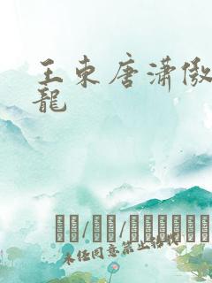 王东唐潇傲世潜龙