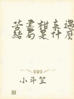 苦尽柑来遇见你结局是什么样的