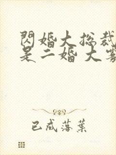 闪婚大总裁娇妻是二婚 大雾漫漫