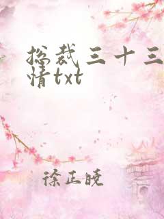 总裁三十三天索情txt