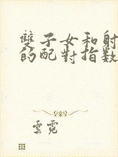 双子女和射手男的配对指数