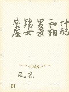 摩羯男和什么星座女最相配