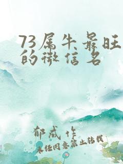 73属牛最旺财的微信名