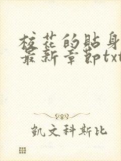 校花的贴身高手最新章节txt下载