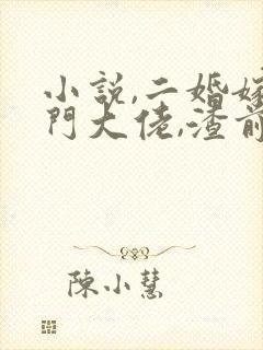 小说,二婚嫁豪门大佬,渣前夫失了控