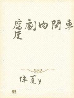 腐剧肉开车大尺度