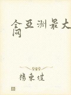 全亚洲最大av网