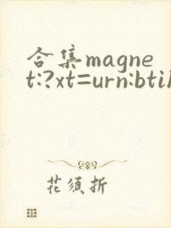 合集magnet:?xt=urn:btih: