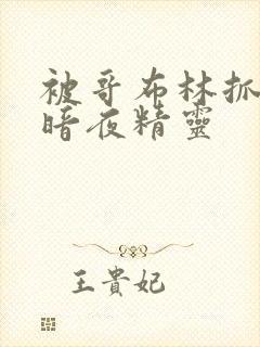 被哥布林抓住的暗夜精灵