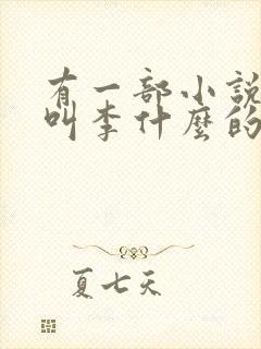 有一部小说主角叫李什么的