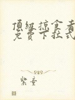 顶级掠食者漫画免费下拉式包子漫画