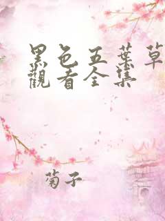 黑色五叶草免费观看全集