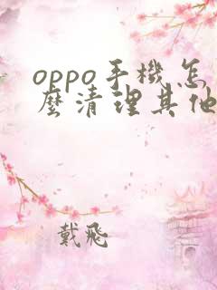 oppo手机怎么清理其他里面的内存